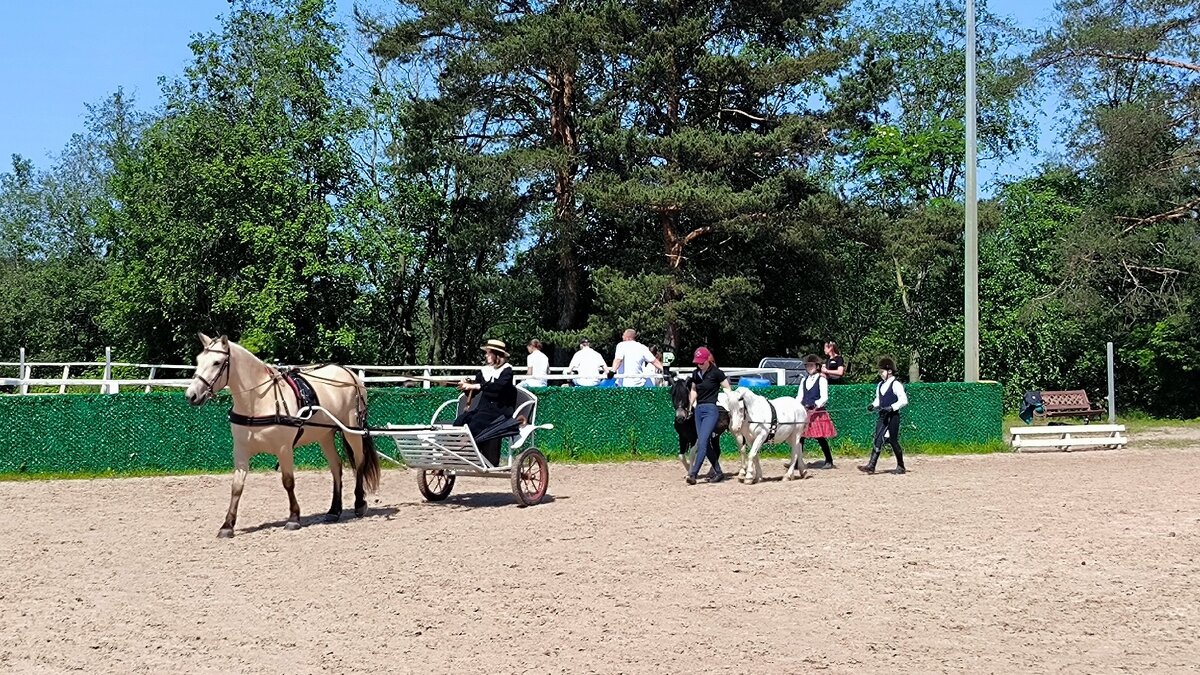 Мэри Поппинс возвращается. - Ольга Мэри Поппинс возвращается. - Ольга