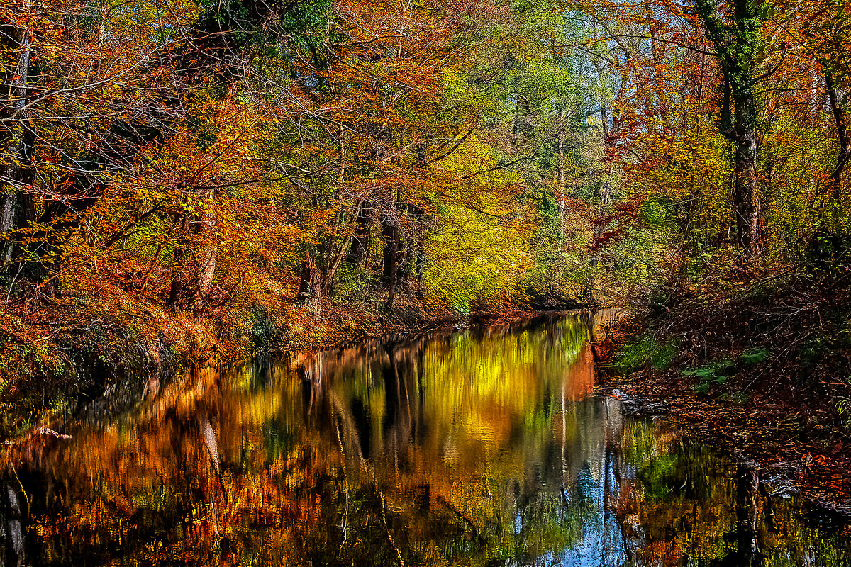 Осень - Юрий Лев