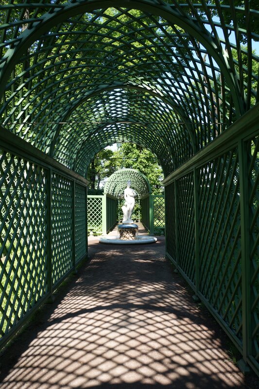 Лето в Летнем саду....... - Алёна Савина Лето в Летнем саду....... - Алёна Савина