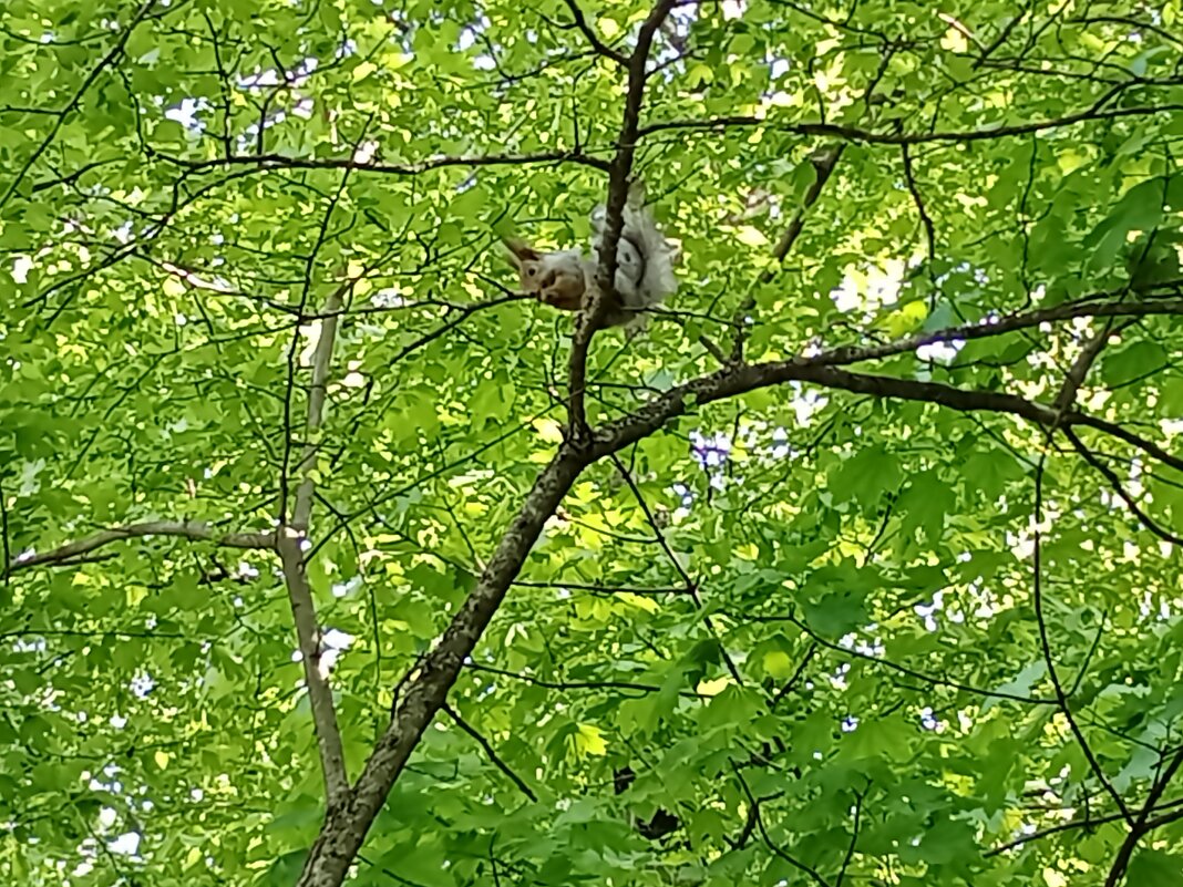 Подготовка к прыжку - Виктор 