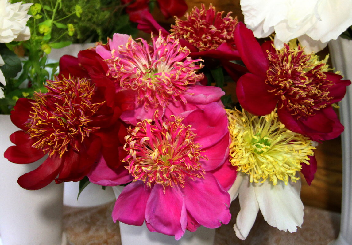 Букет - Vlad Сергиевич Букет - Vlad Сергиевич