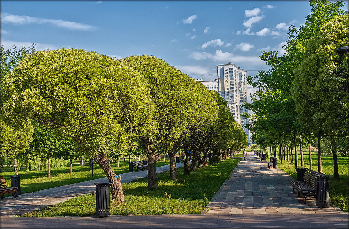 Парки Москвы - Aleksey Afonin