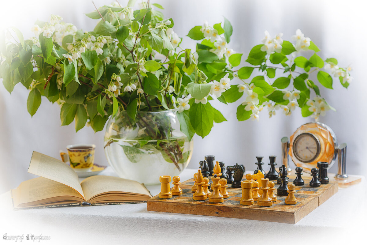 Шахматная партия - Алексей Трифонов