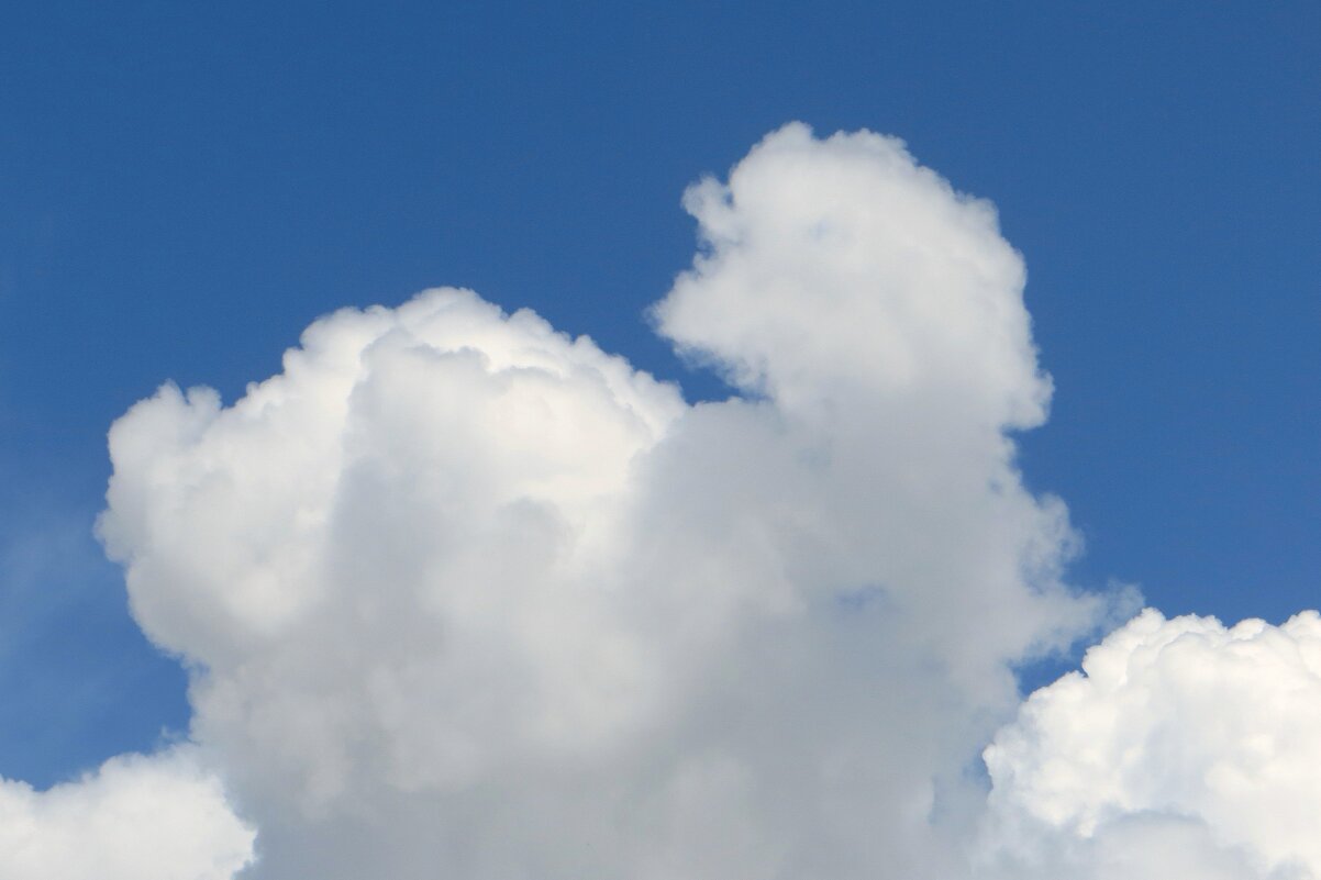 Плывёт облачко-утёнок и смотрит кто плывёт за ним - Татьяна Смоляниченко