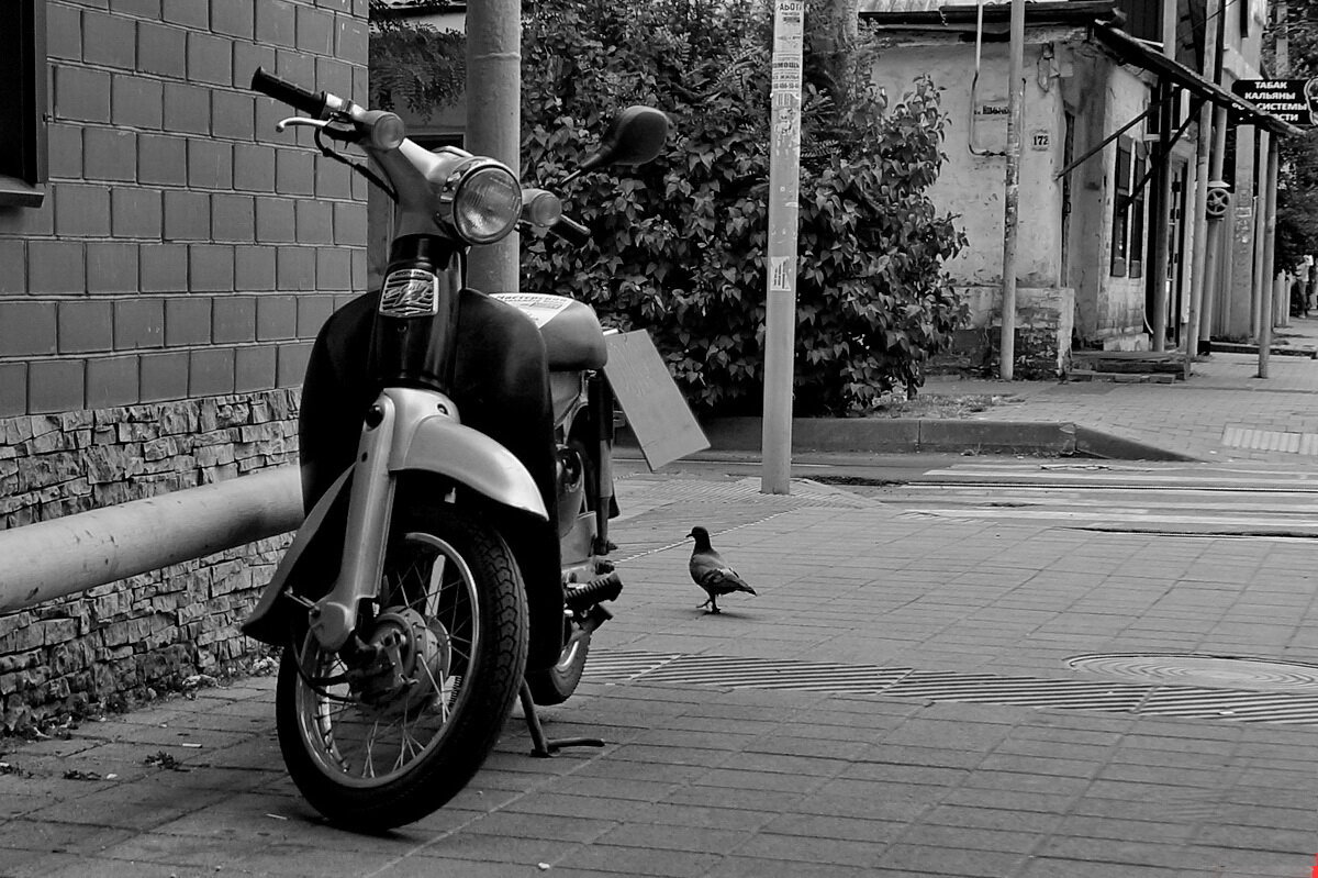 Ну я хозяйка мотоцикла... - Николай Саржанов