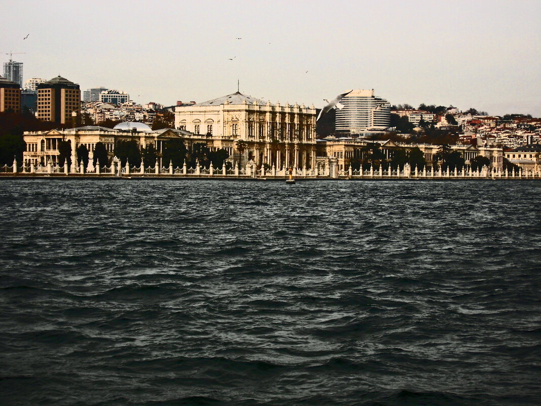 Стамбул - 11 - Артём Кузнецов