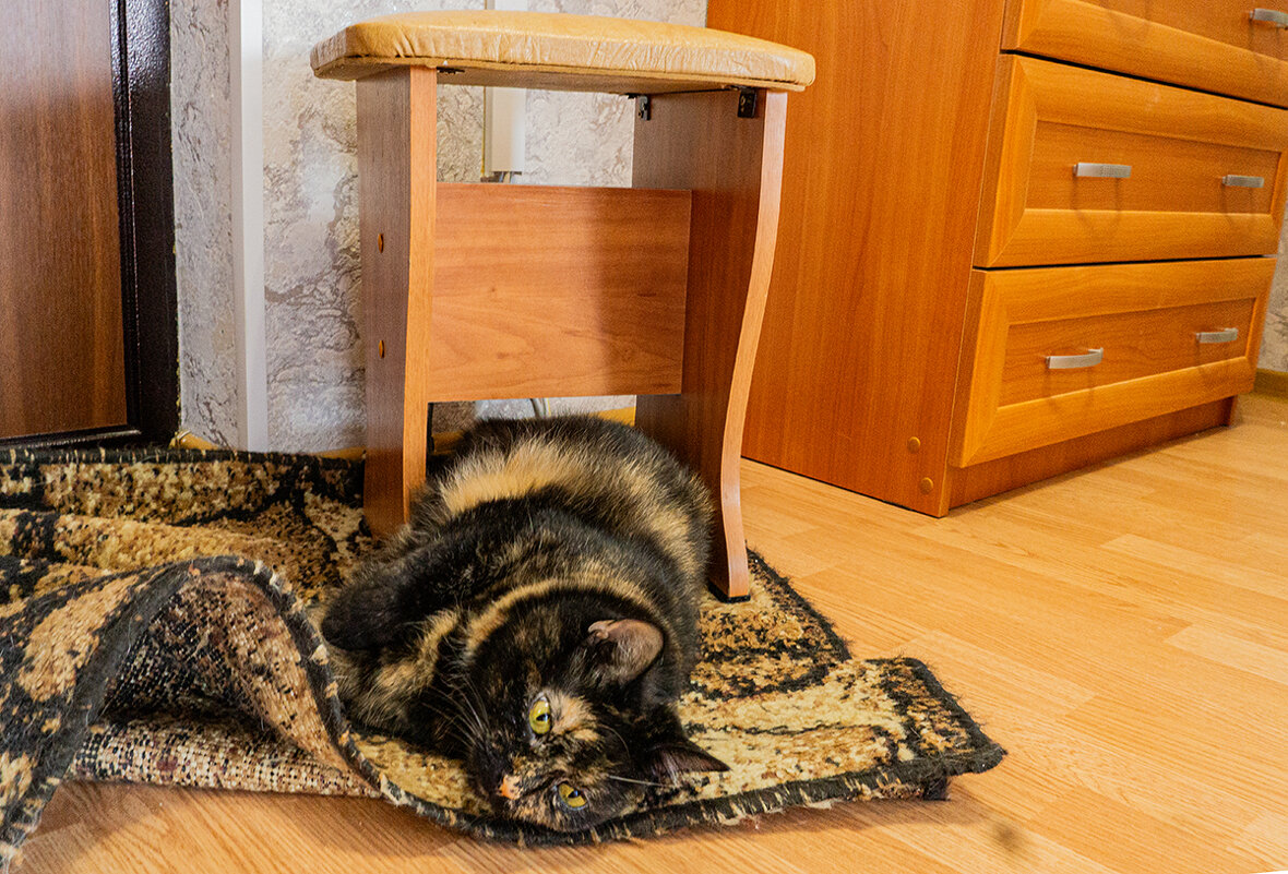 Кому, как нравится! - Ирина Соловьёва