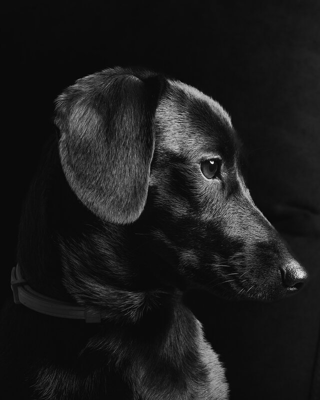 чика - Александр Александр