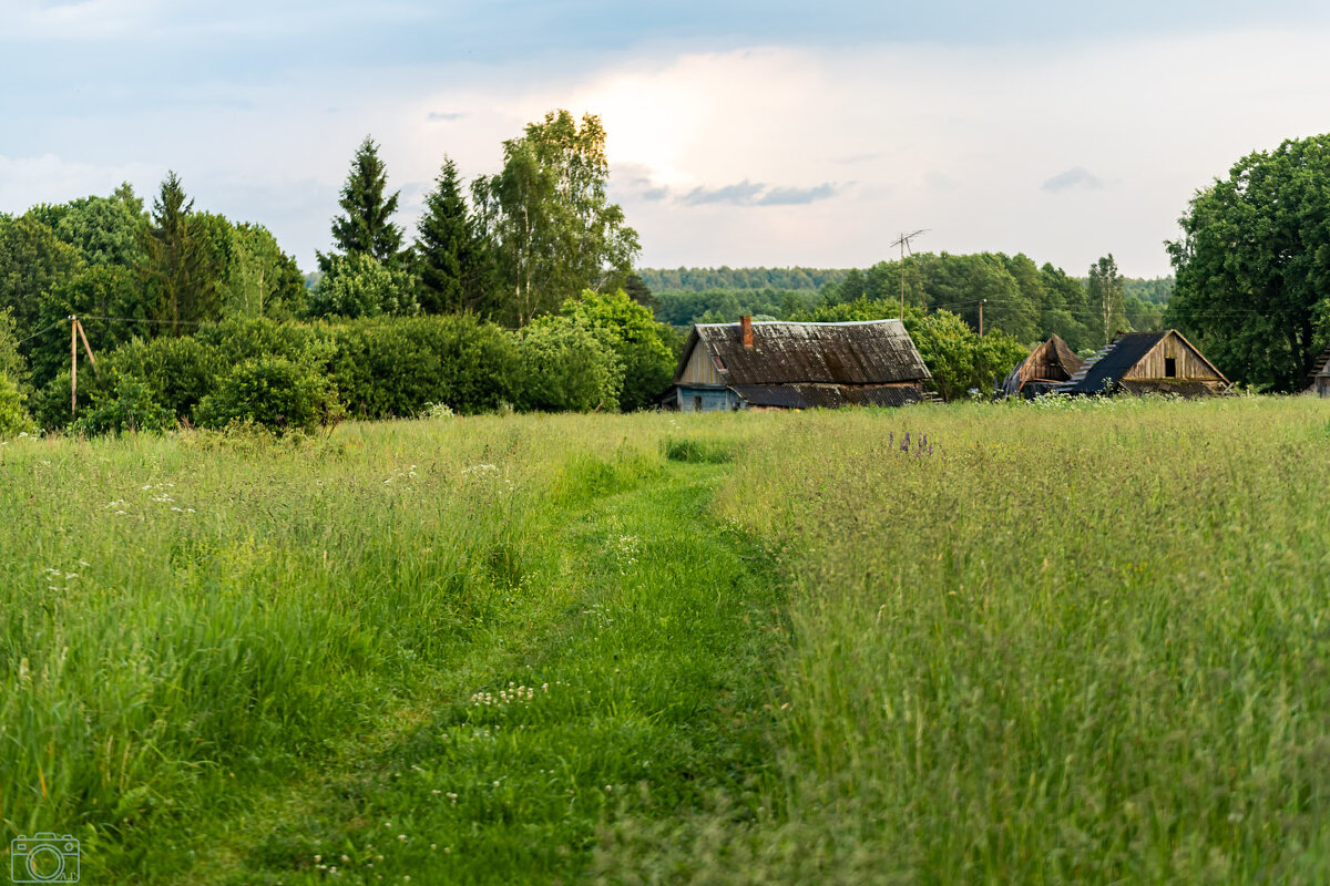 Дорога - Александр 