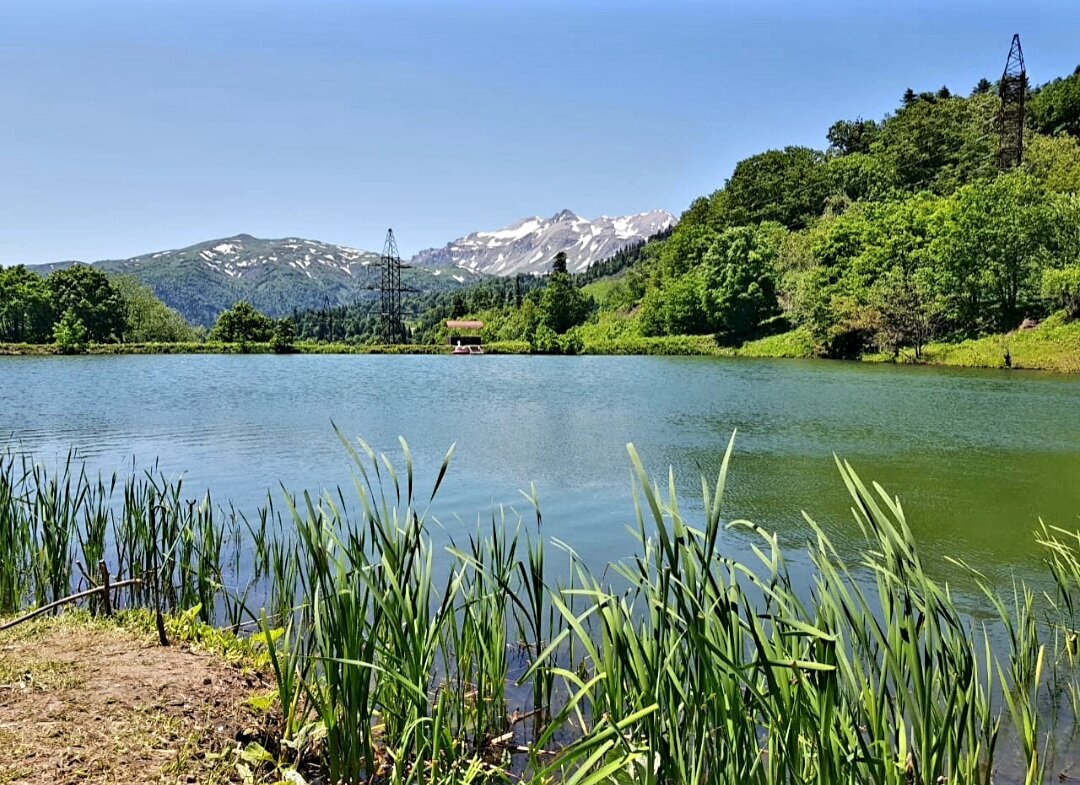 Озеро Партизанская поляна - Tata Wolf