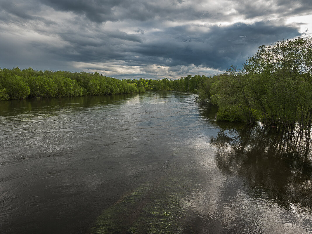 ... - Жора Житников