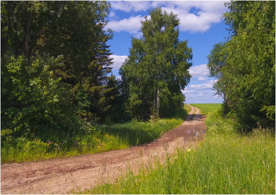 Полевая дорога - Валентин Котляров