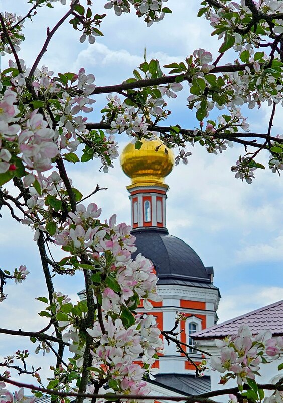 Весна в Варницах - Михаил Свиденцов