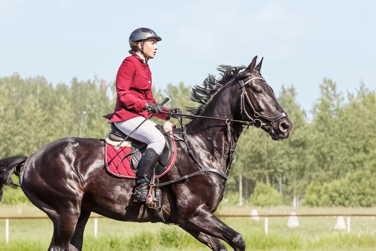 Конкур - SanSan 