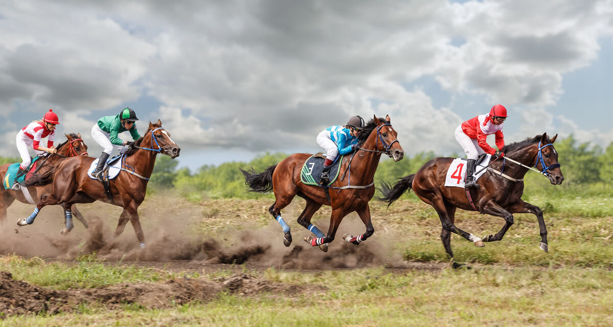 Скачки - SanSan 