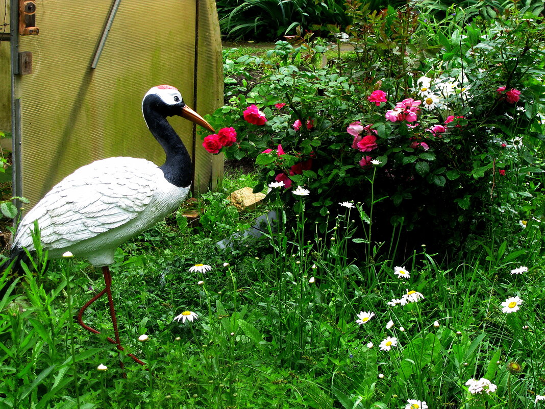 Красота в саду - Людмила Смородинская