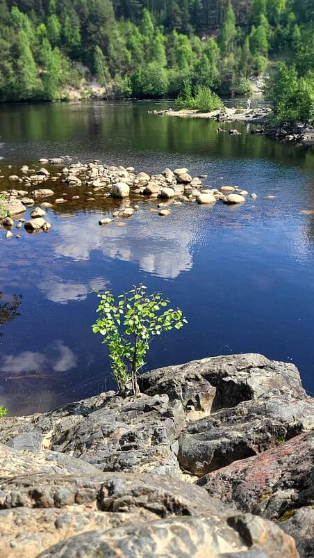Карелия - Тамара Вебер