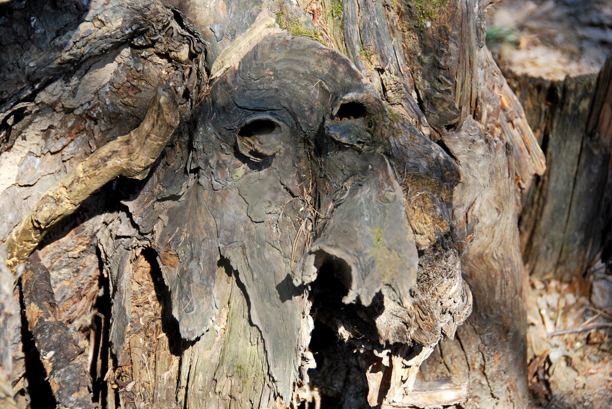 Дарт Вейдер? - Юрий Вовк