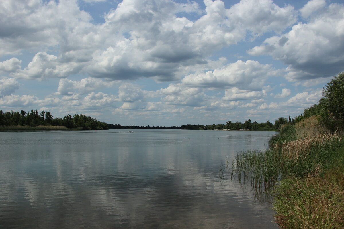 Дон. - Виктор 