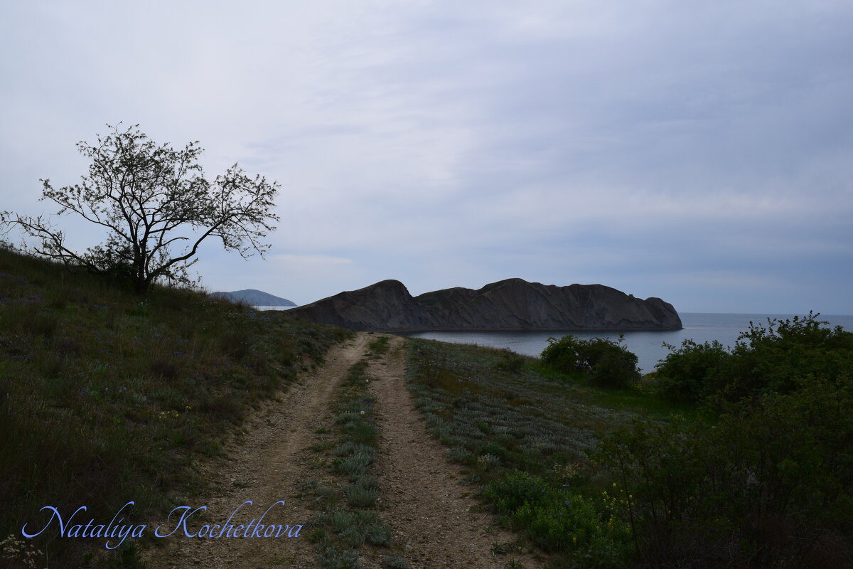 Природа Крыма - Amazing Cosmea