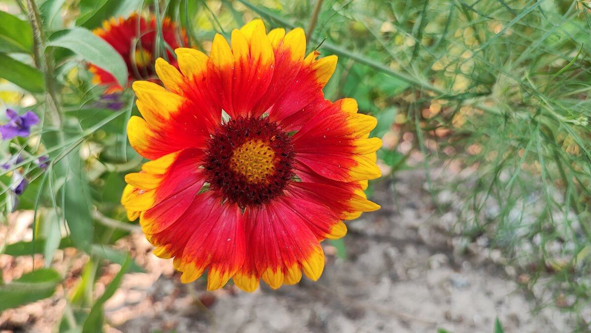 ,,, - Сергей Тимоновский