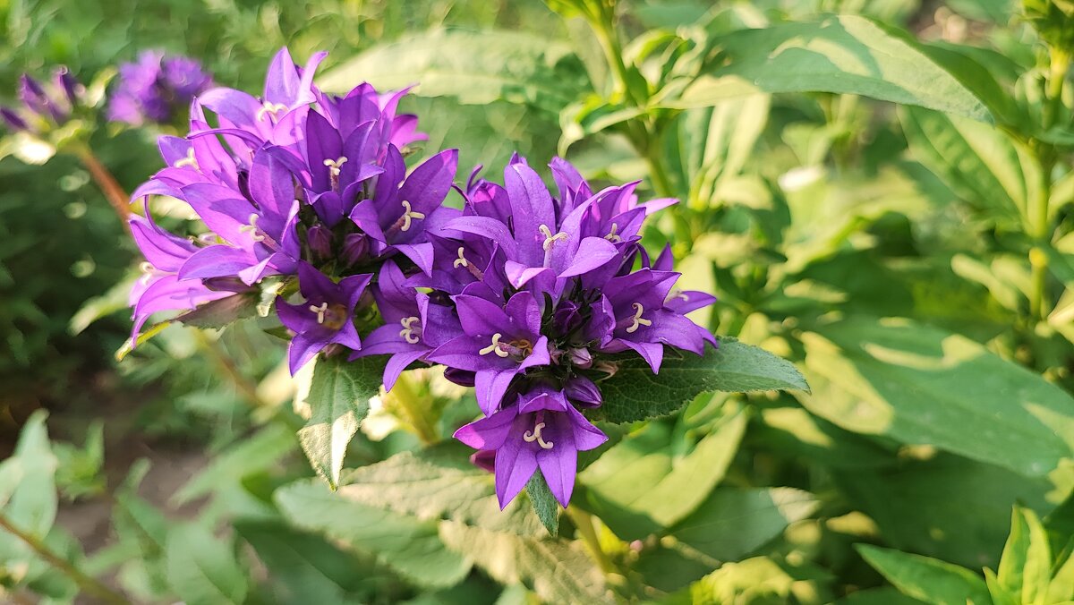 ,,, - Сергей Тимоновский