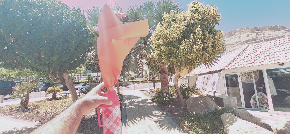 13  ОПЕН (161) - OPEN WAYS ALL