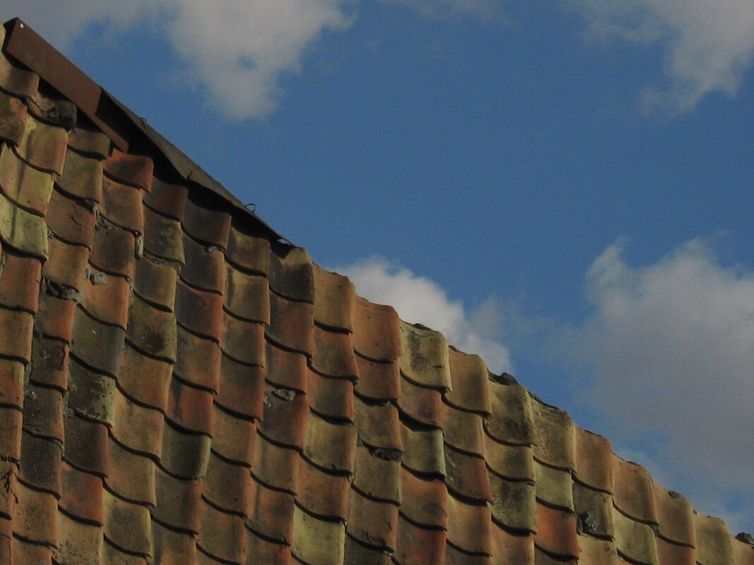 . - Александр Хоменко