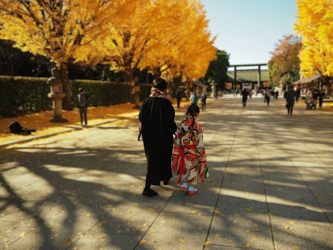 По дороге в японский храм - Civetta *** По дороге в японский храм - Civetta ***