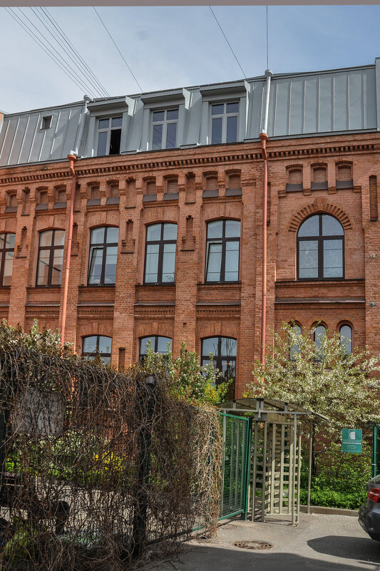 Здание бывшей фабрики пуговиц «Братья Бух» — ( 6-я линия В.О., 15Д) - Татьяна Машошина