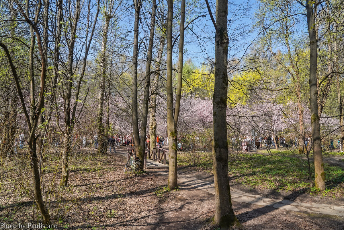 В весеннем парке... - Владимир Жданов