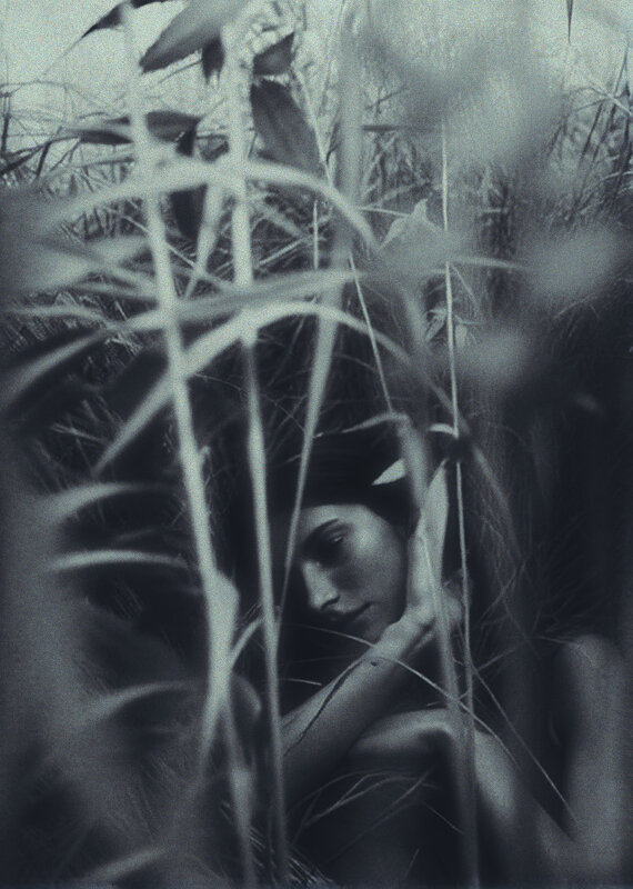 *** - Евгений Нодвиков