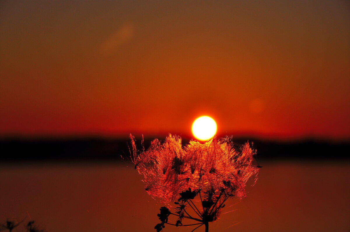 Вечер. - Михаил Колосов 