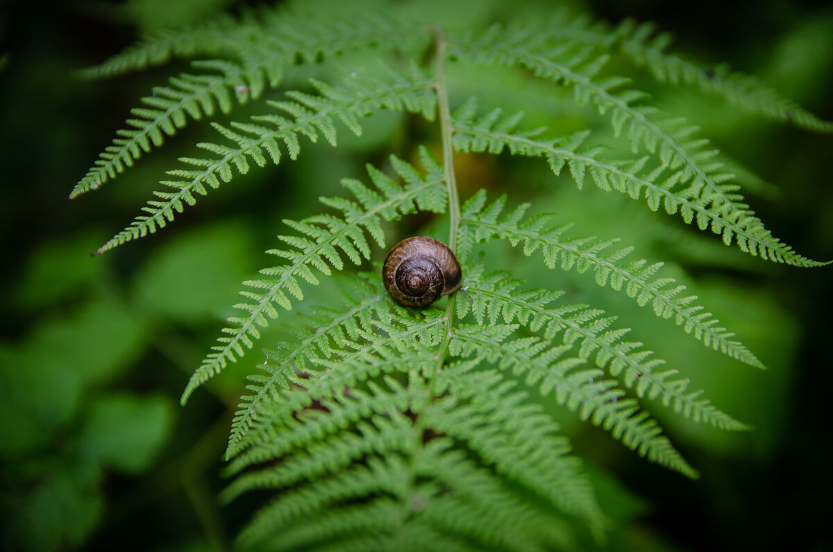Макро - Александр Бочериков