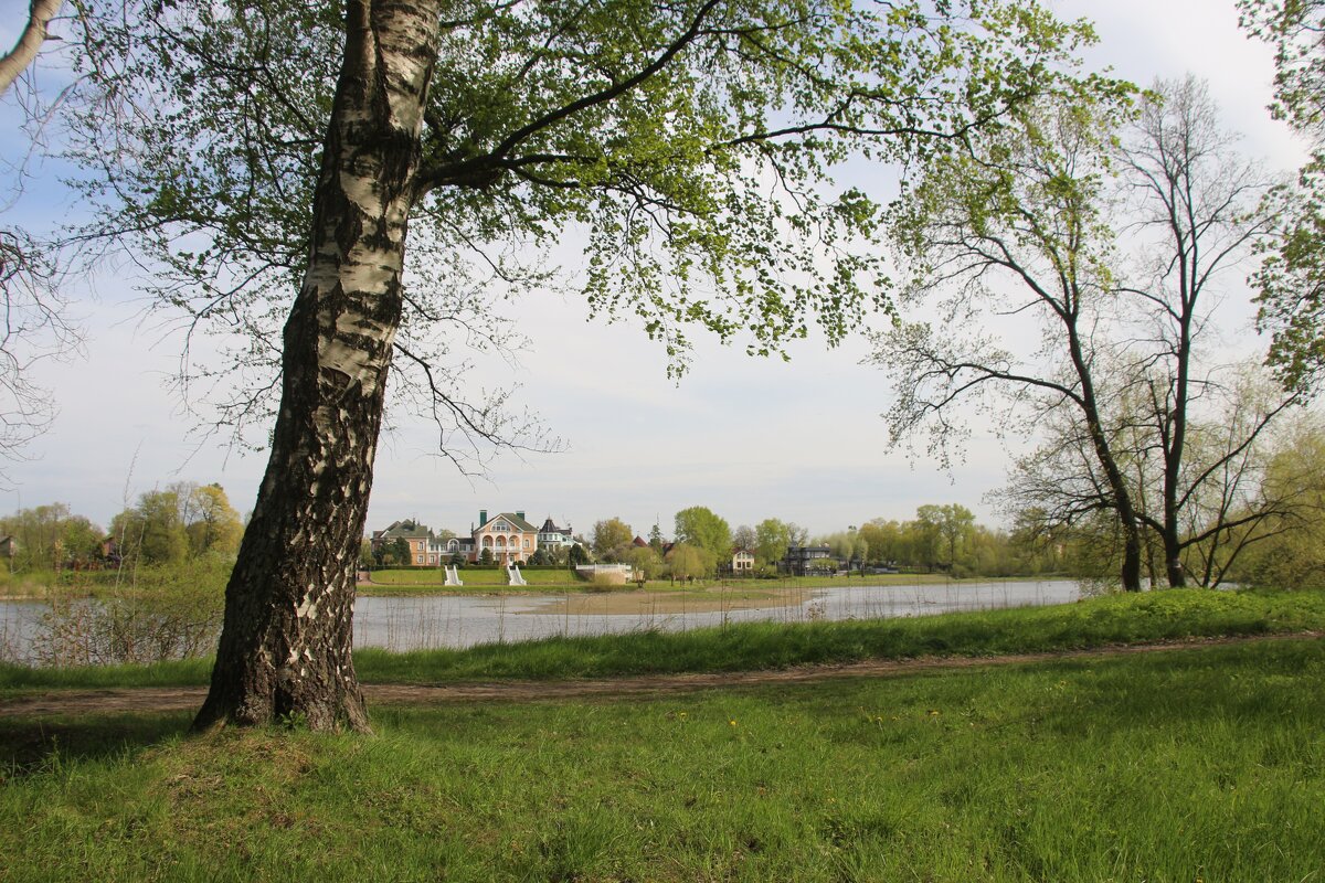 Орловский парк - Наталья Герасимова