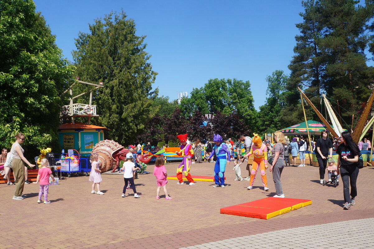 Диво остров - zavitok *