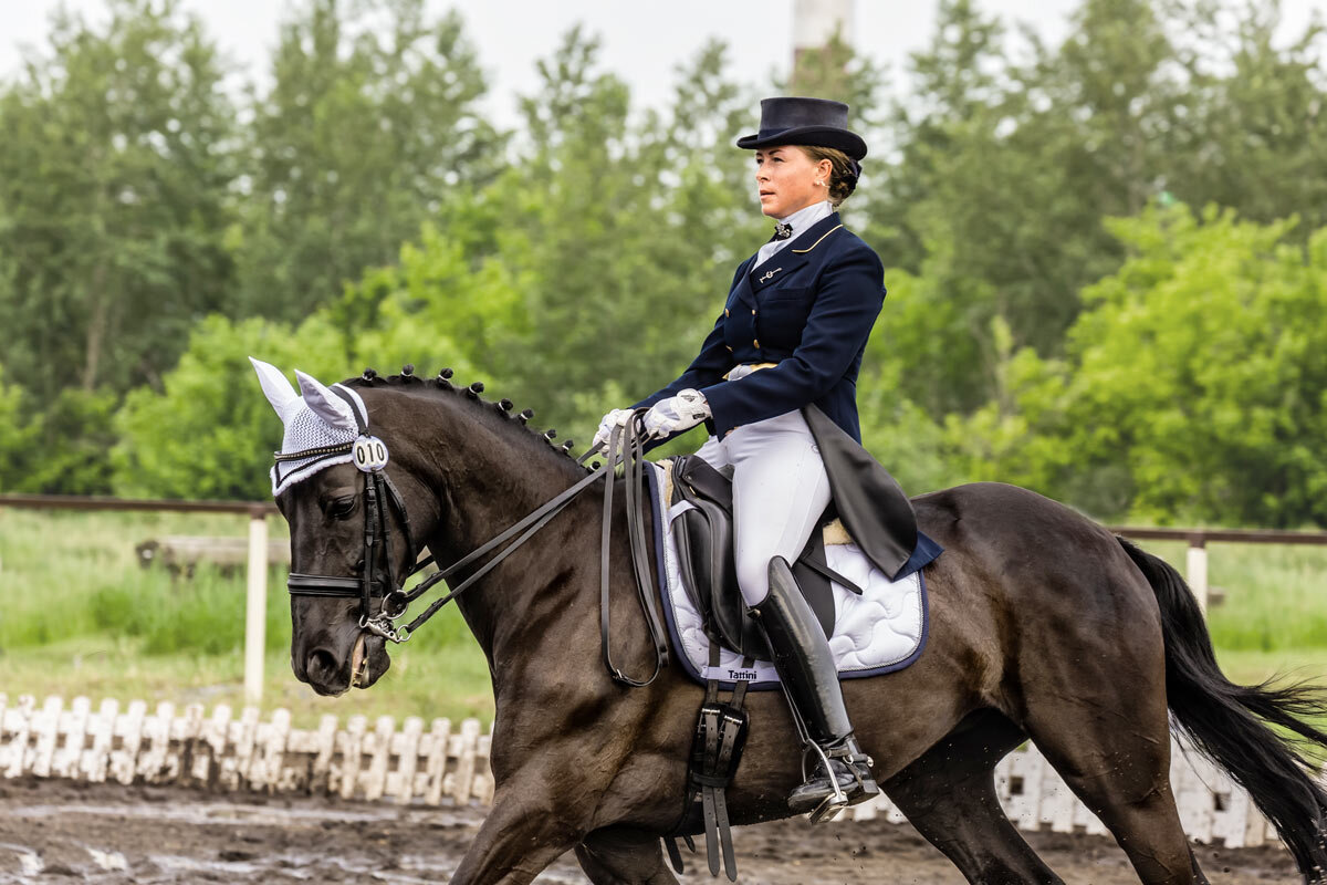 Выездка - SanSan 