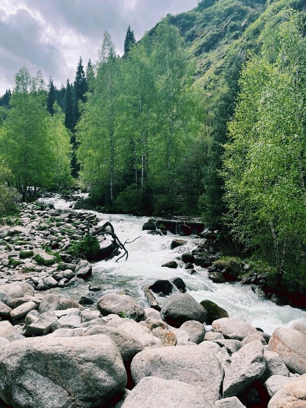 Горная река - Георгиевич 