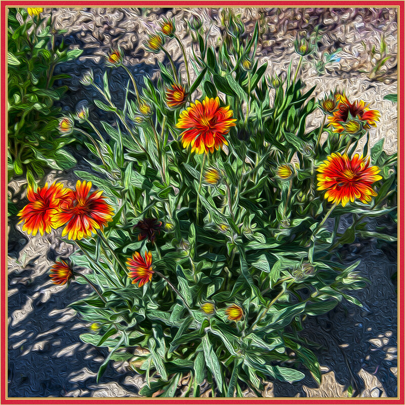 Цветы - Анатолий Чикчирный Цветы - Анатолий Чикчирный