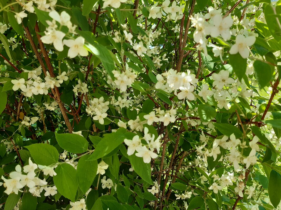 Лето, ах лето! - Галина Минчук Лето, ах лето! - Галина Минчук