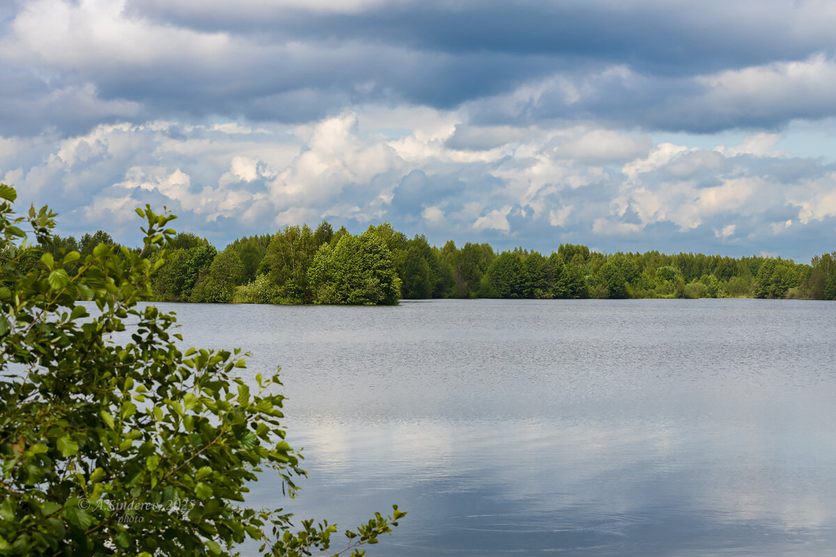 Пейзаж летнего озера - Александр Синдерёв