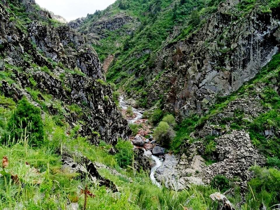 ПО ГОРАМ. - Виктор Осипчук