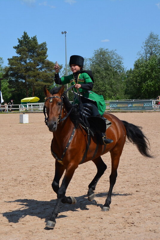 Международная конная выставка "Иппосфера" 2025 - Николай 