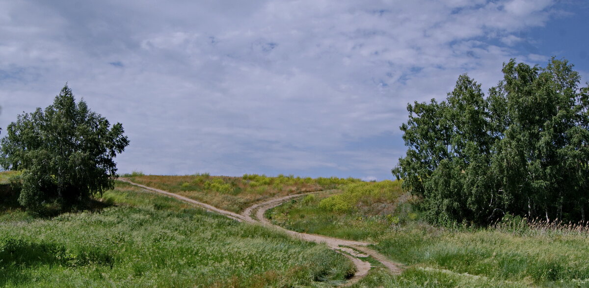 Июнь. - сергей ермошкин