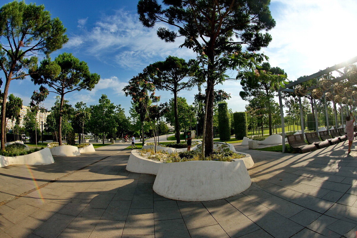 Парк " Краснодар" или Галицкого... - Николай Саржанов