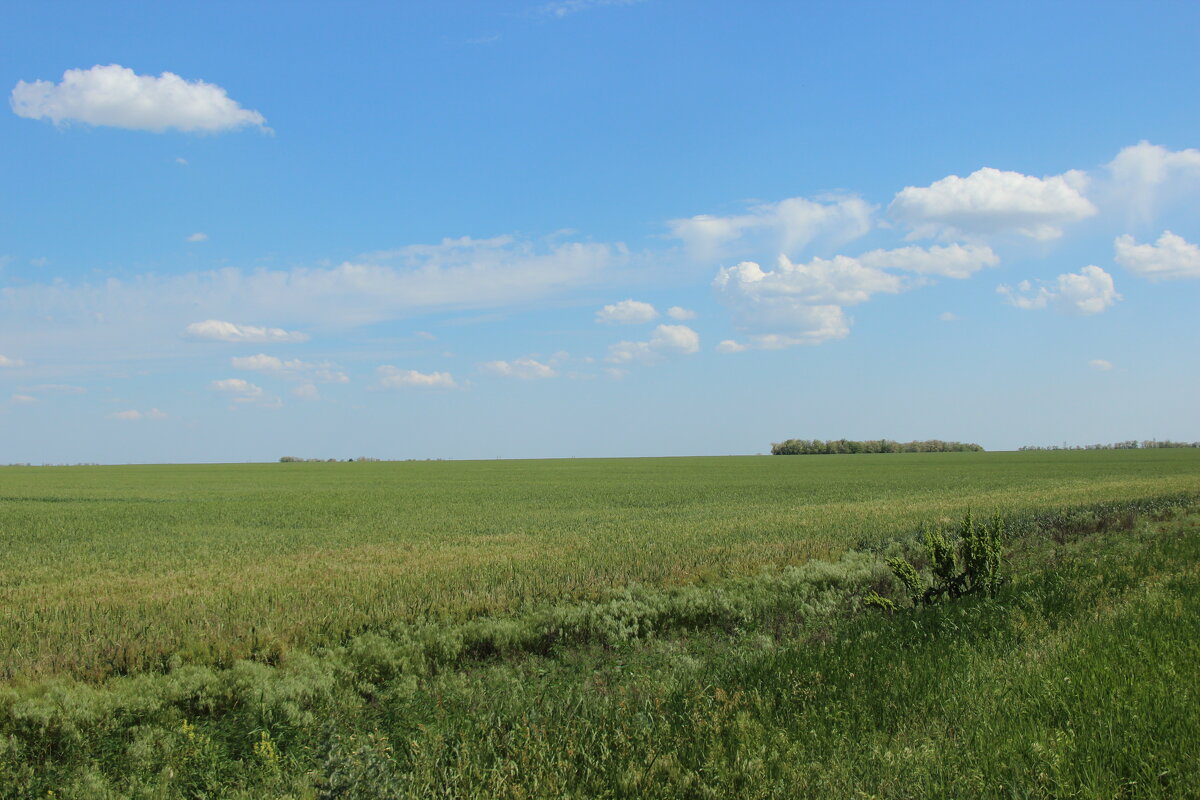 У поля. - Виктор 