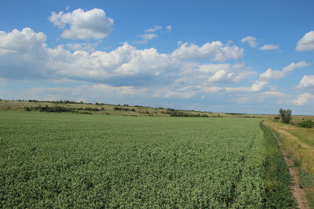 Начало лета - Виктор 