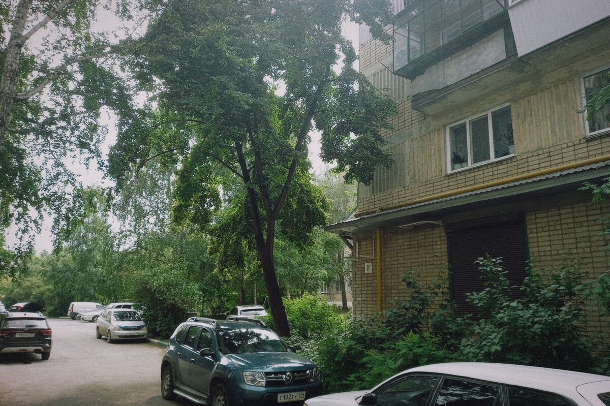 Летняя стоянка. - Игорь Солдаткин