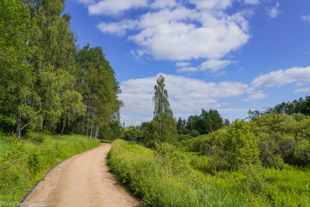 Тропинками лета... - Владимир Жданов