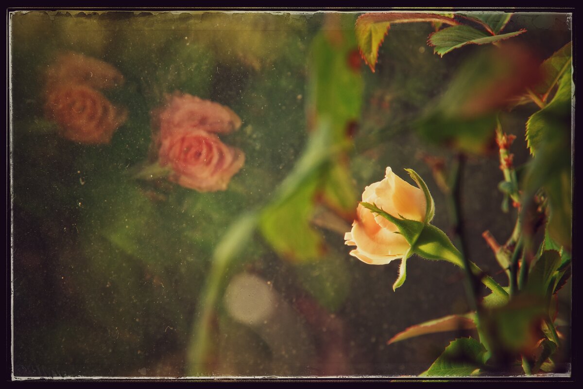 ..... - Руслан 